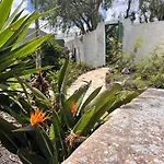 Casa Gatti - Casa Del '900 Nel Centro Di Lanzarote - Relax Tra I Vulcani